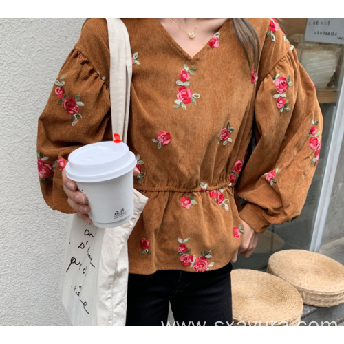 Autumn fashion casual V-neck embroidered top